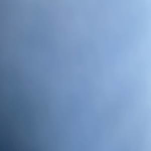 Meet your Posher, Donald